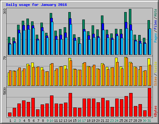 Daily usage for January 2016