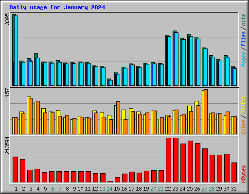 Daily usage for January 2024