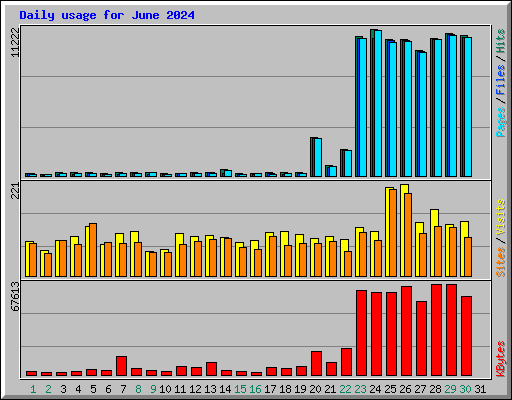 Daily usage for June 2024