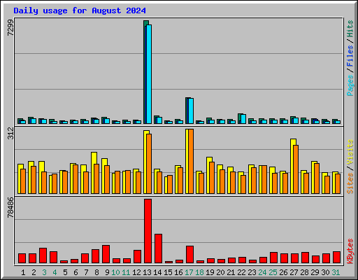 Daily usage for August 2024