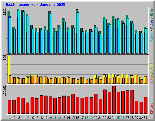 Daily usage for January 2025