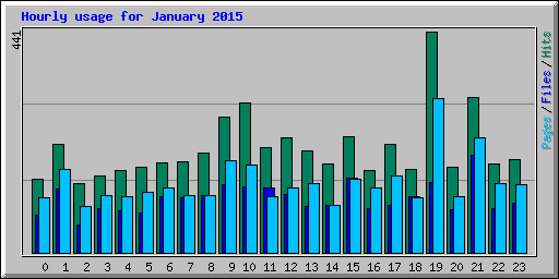 Hourly usage for January 2015