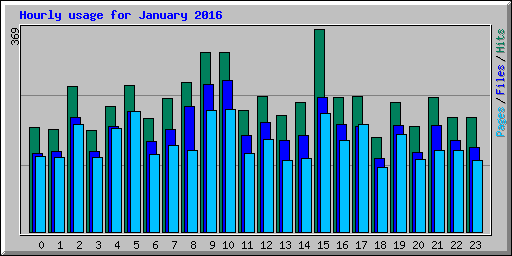 Hourly usage for January 2016