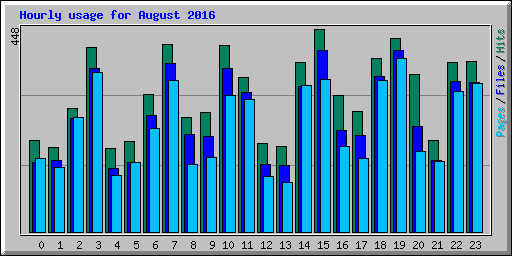 Hourly usage for August 2016