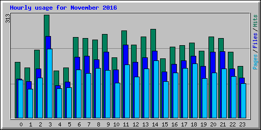 Hourly usage for November 2016