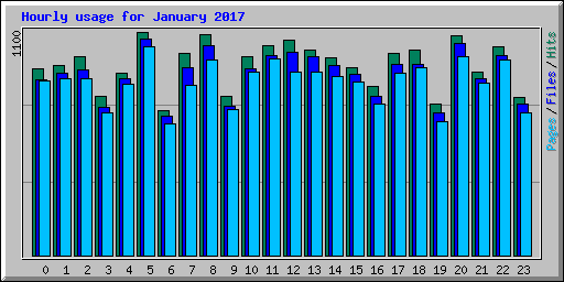 Hourly usage for January 2017