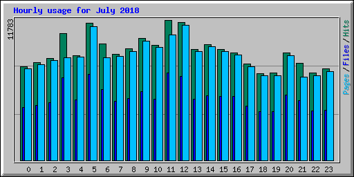 Hourly usage for July 2018