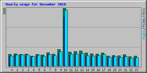 Hourly usage for December 2018