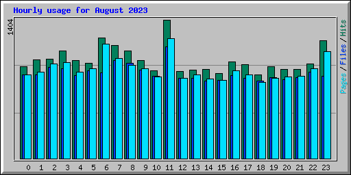 Hourly usage for August 2023