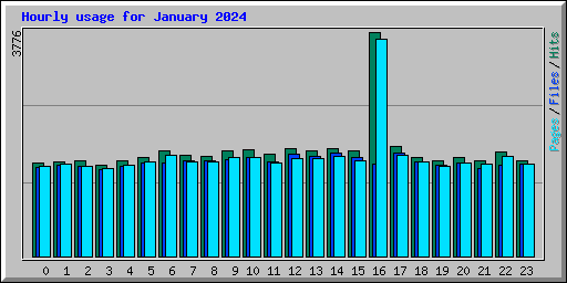 Hourly usage for January 2024