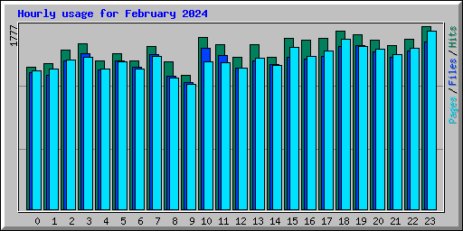 Hourly usage for February 2024