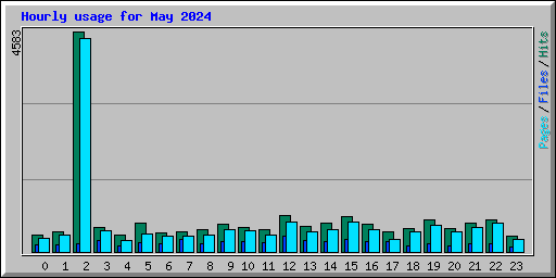 Hourly usage for May 2024