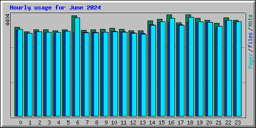 Hourly usage for June 2024