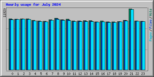 Hourly usage for July 2024