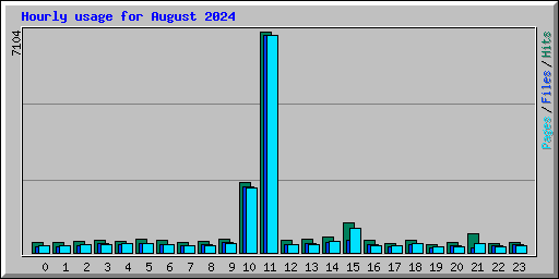 Hourly usage for August 2024
