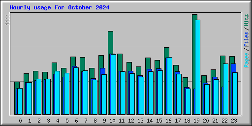 Hourly usage for October 2024