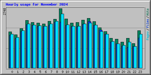 Hourly usage for November 2024