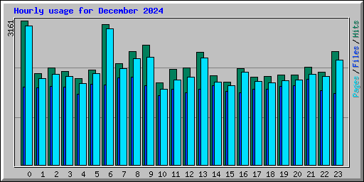 Hourly usage for December 2024