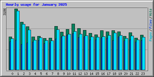 Hourly usage for January 2025