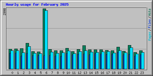 Hourly usage for February 2025