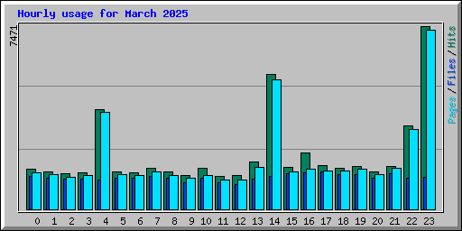 Hourly usage for March 2025