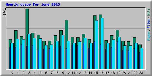 Hourly usage for June 2025