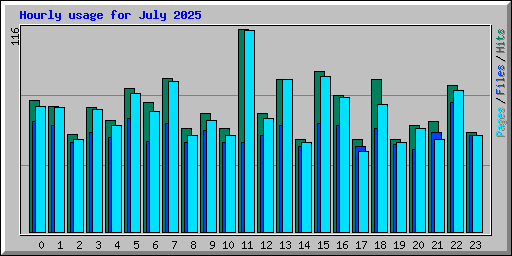 Hourly usage for July 2025
